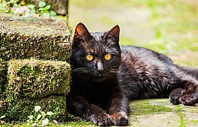 《时空英豪2：新起点》2024年3月15日发售